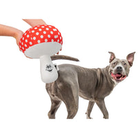 Thumbnail for Mike the Mushroom
