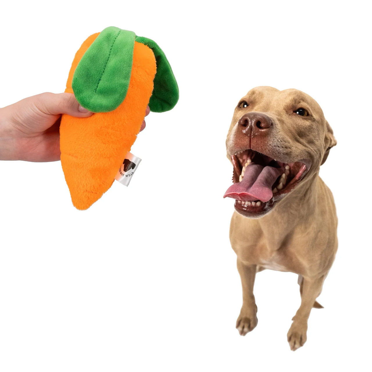 Carrot